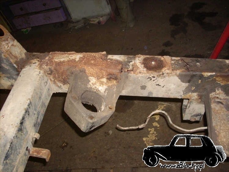 Aro Muscel, obraz nr 188