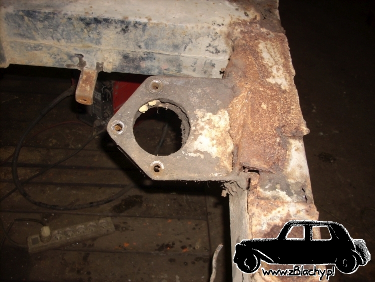 Aro Muscel, obraz nr 192