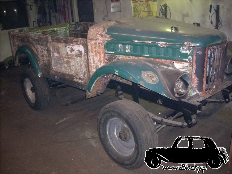 Aro Muscel, obraz nr 228