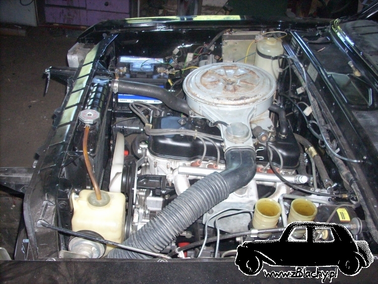 Chevrolet LUV, obraz nr 1272